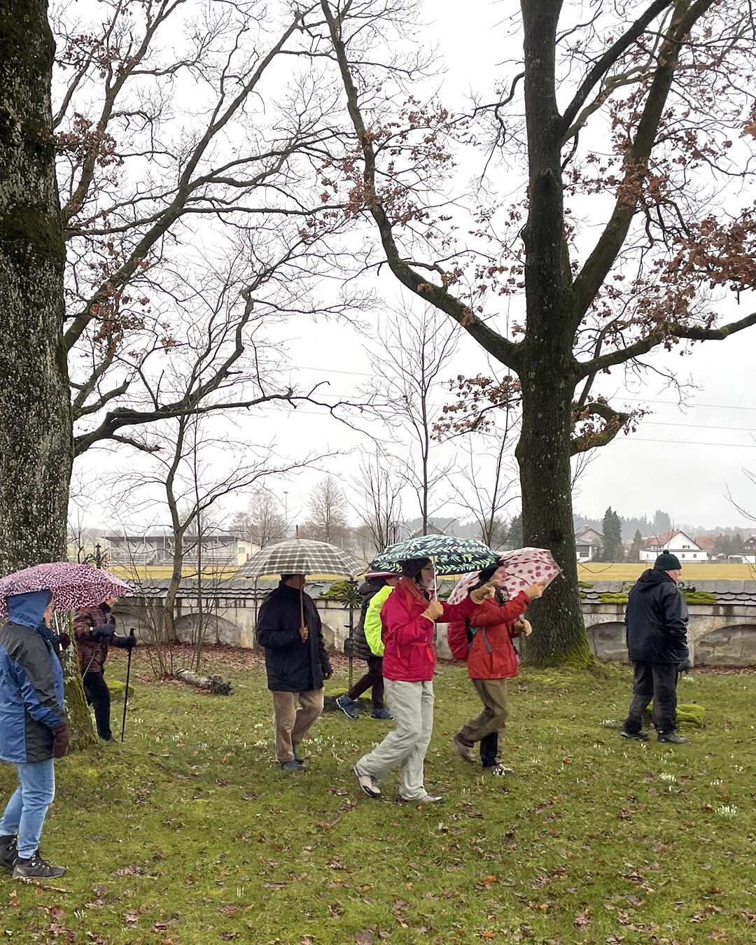 news_260221_mariasteinbach_077