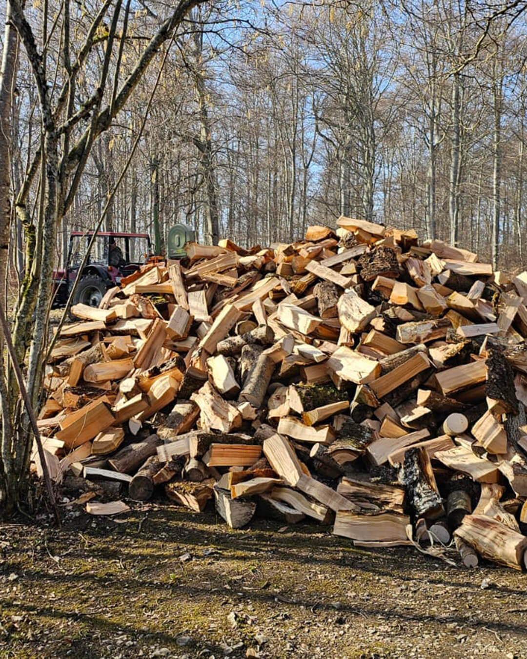 news_260307_Arbeitseinsatz_4