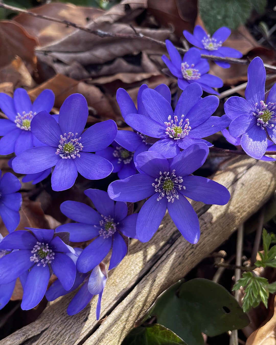 news_260308_Römerturm_085