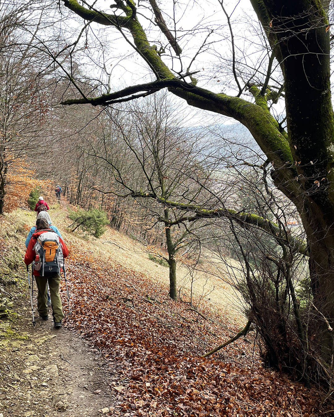 news_260316_Altmühltal_129