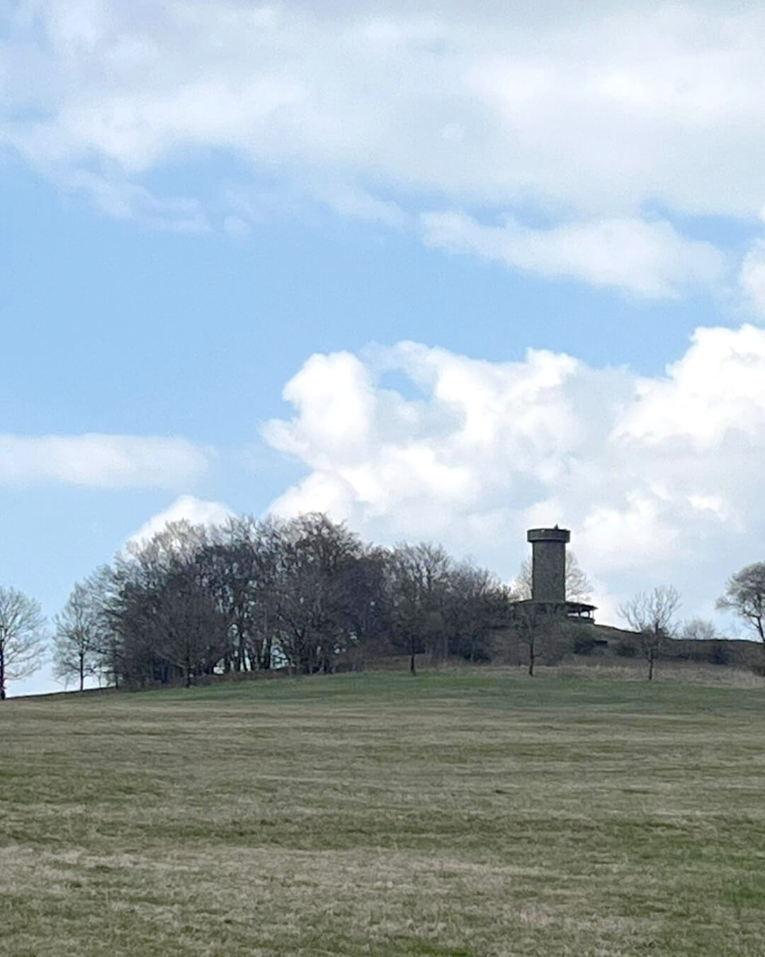 news_260322_Wald-Knüll_192349