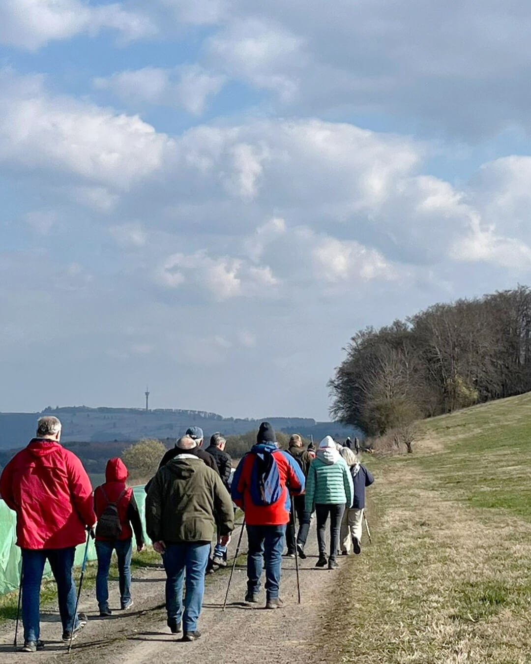 news_260322_Wald-Knüll_192455