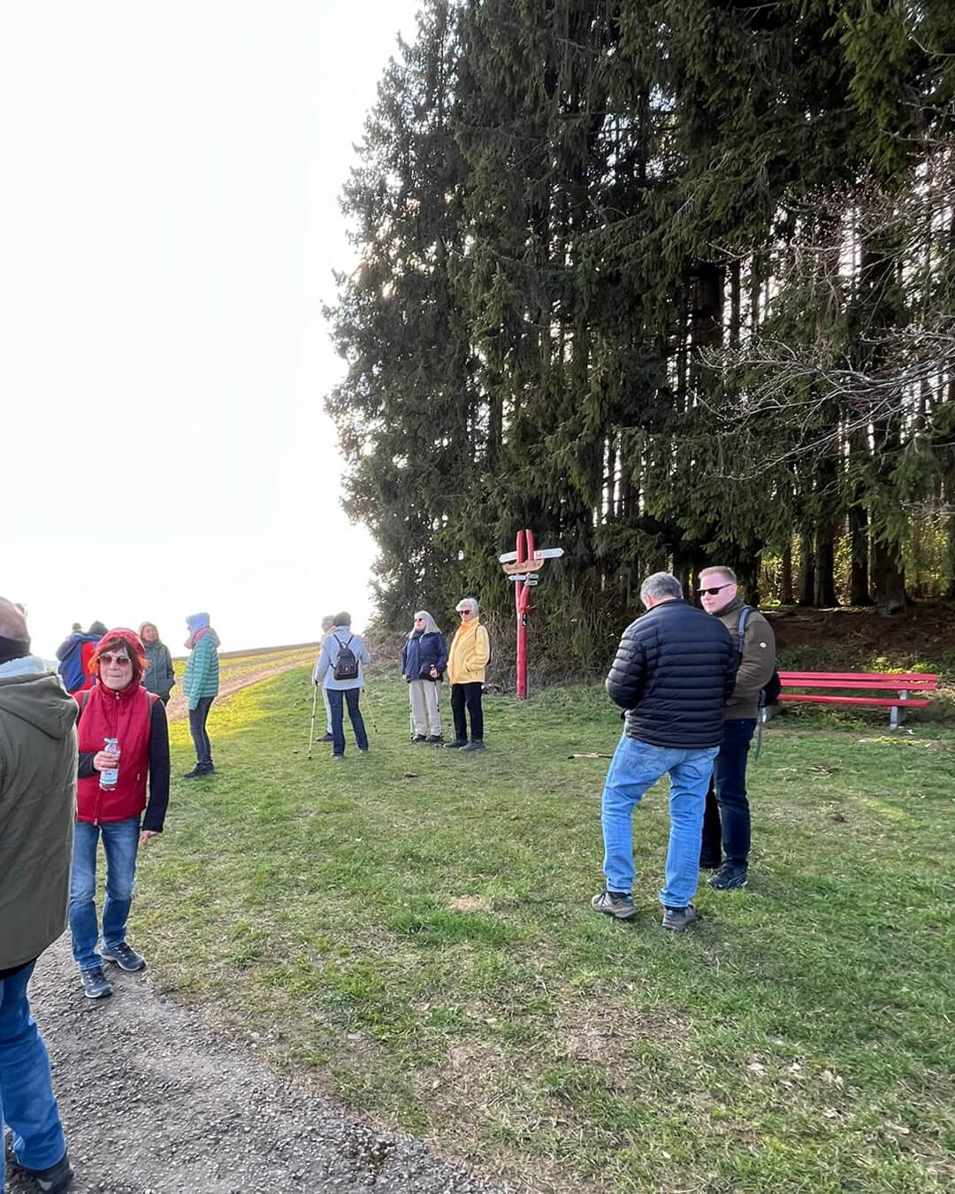 news_260322_Wald-Knüll_WA0007