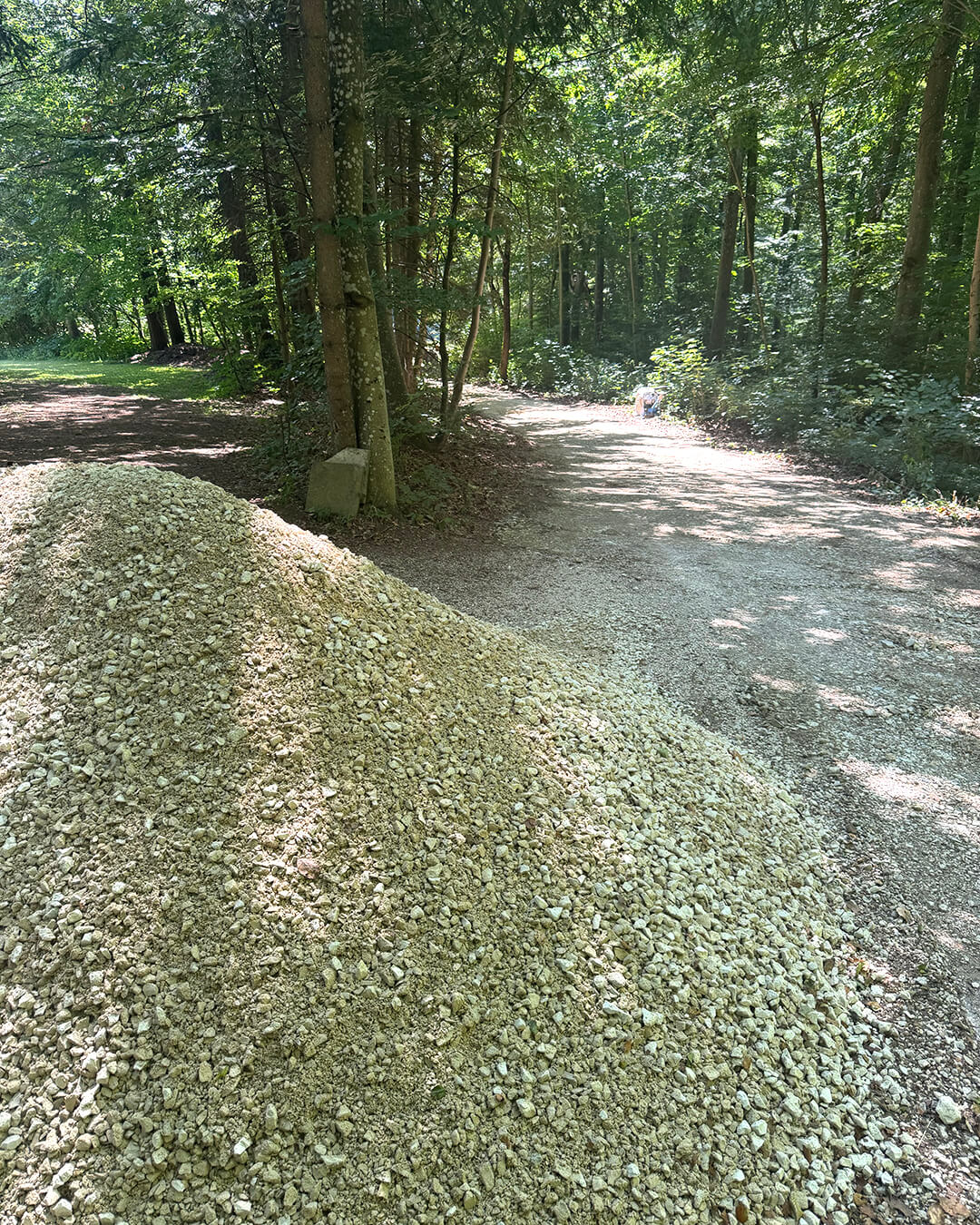 news_260709_Altvaterbaude_2_3828