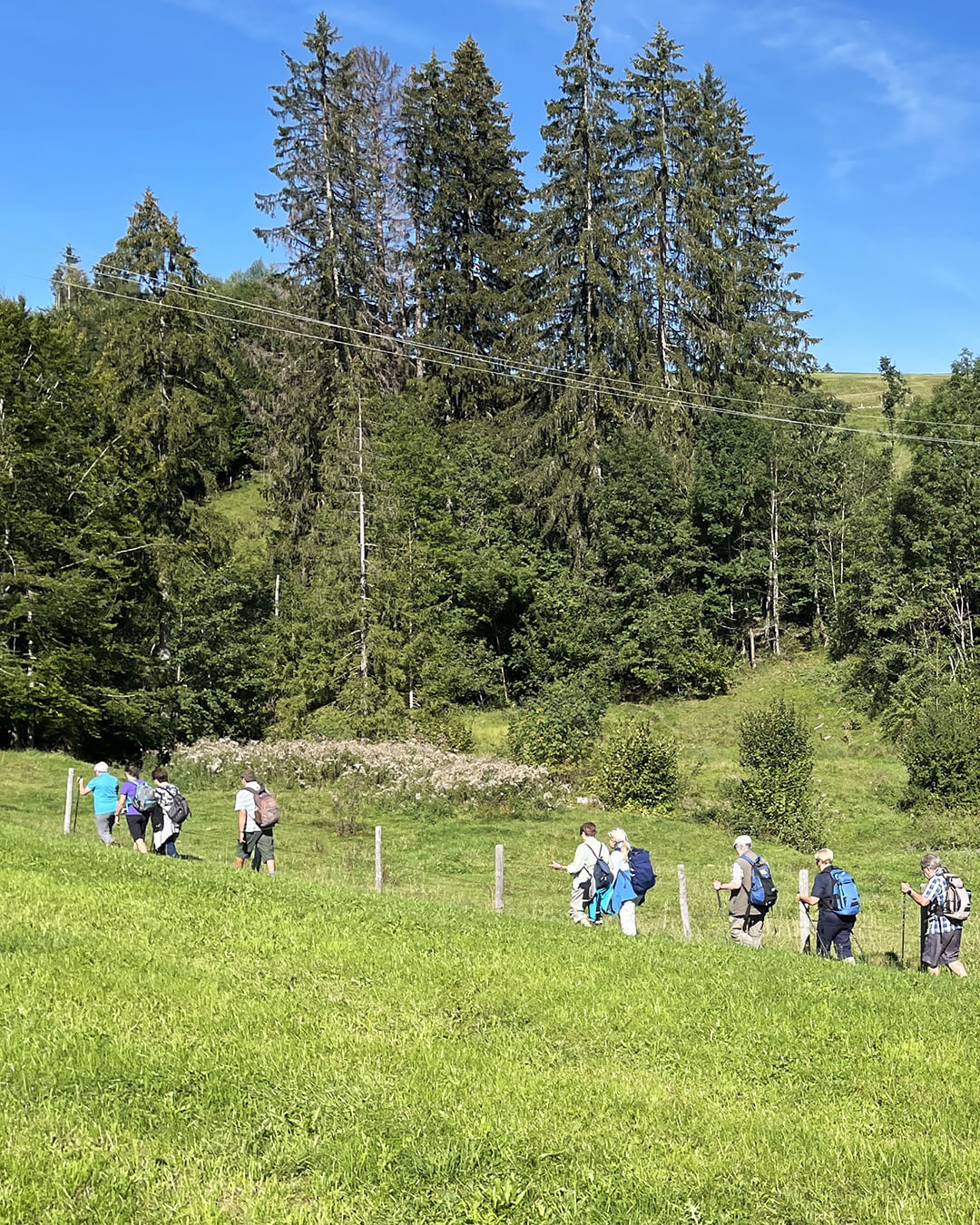 news_260829_Wertach_446a