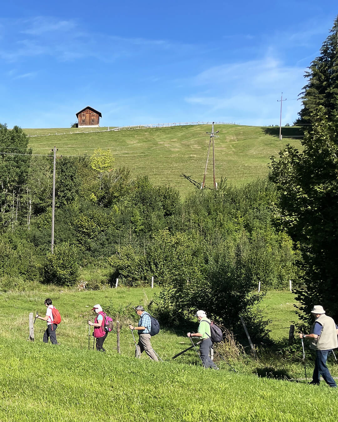 news_260829_Wertach_446b