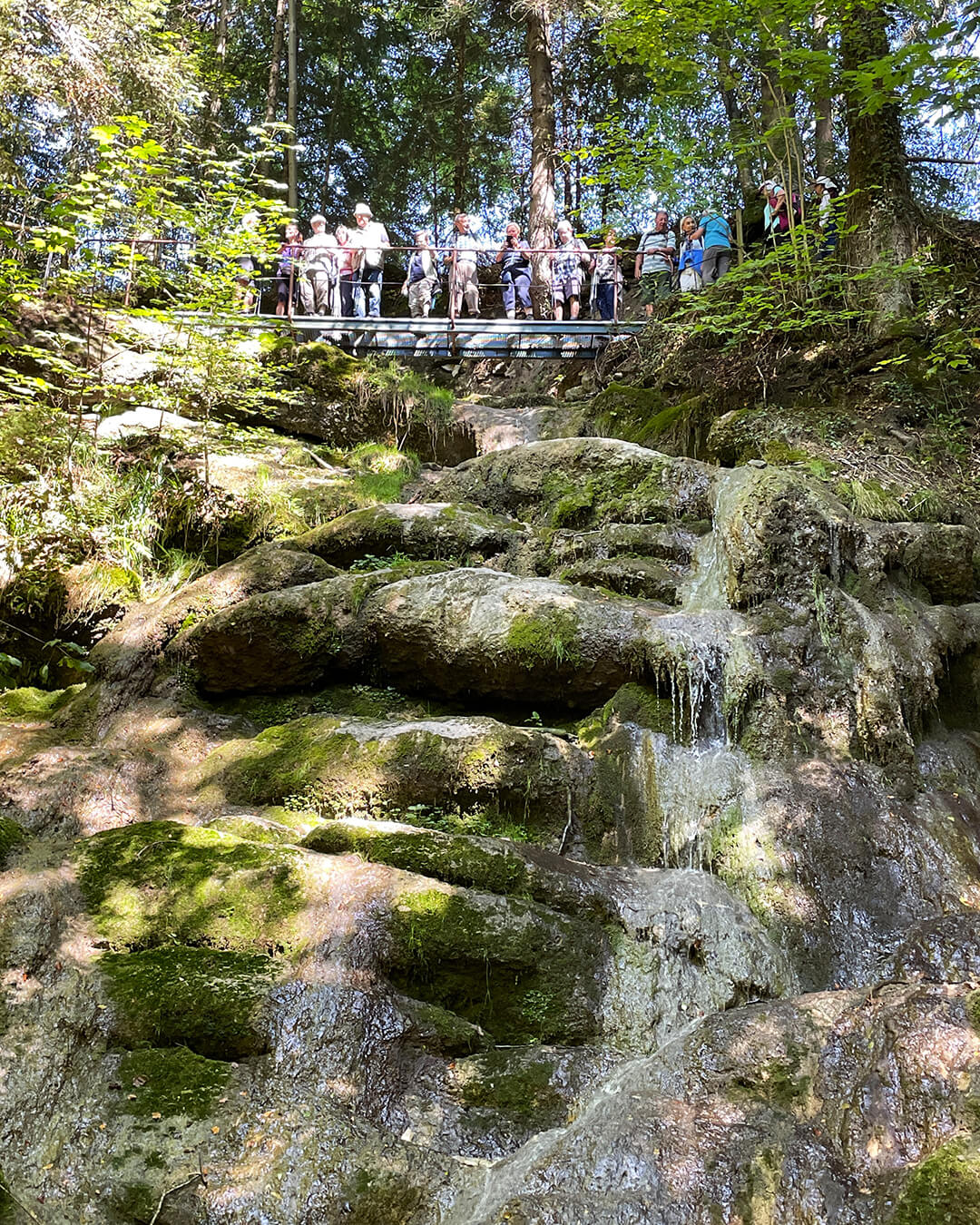 news_260829_Wertach_454