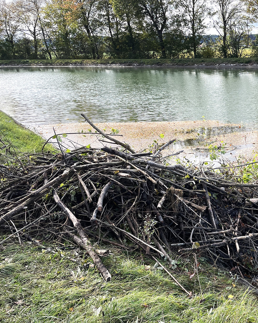 news_261024_Egelsee_521
