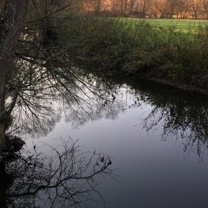 Veranstaltung MSSGV Wanderung Bach