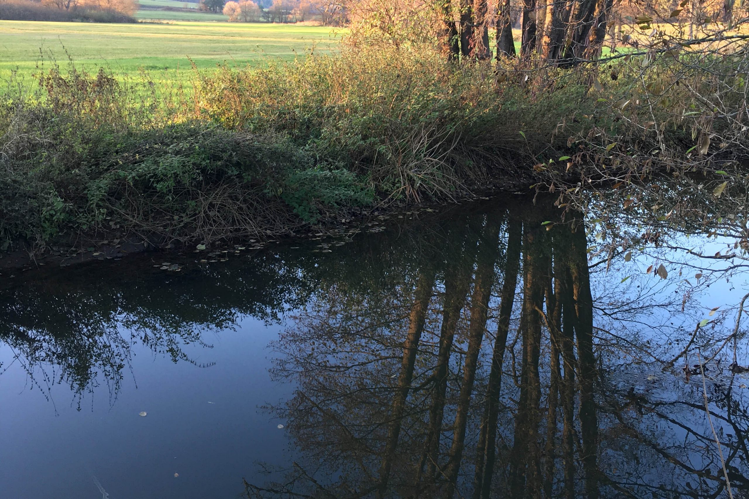 Veranstaltung MSSGV Wanderung Bach