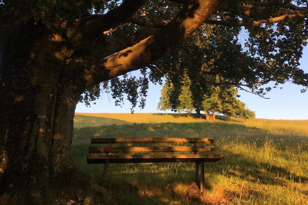 Veranstaltung MSSGV Wanderung Bank