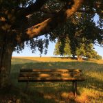 Veranstaltung MSSGV Wanderung Bank