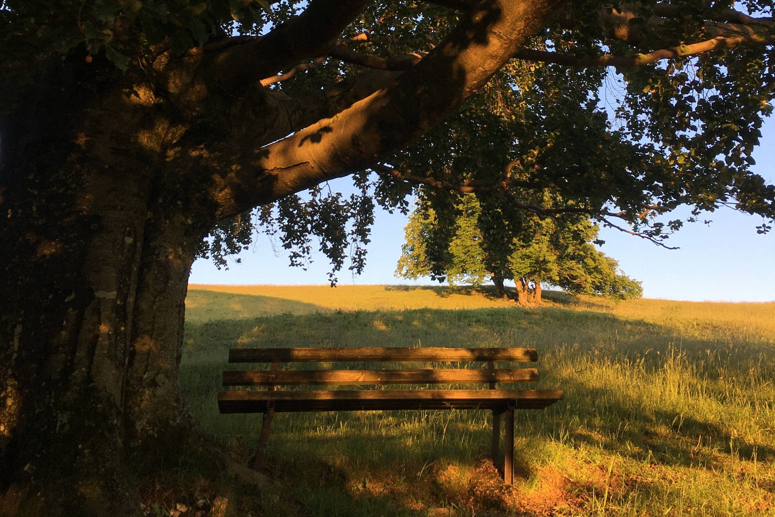 Veranstaltung MSSGV Wanderung Bank
