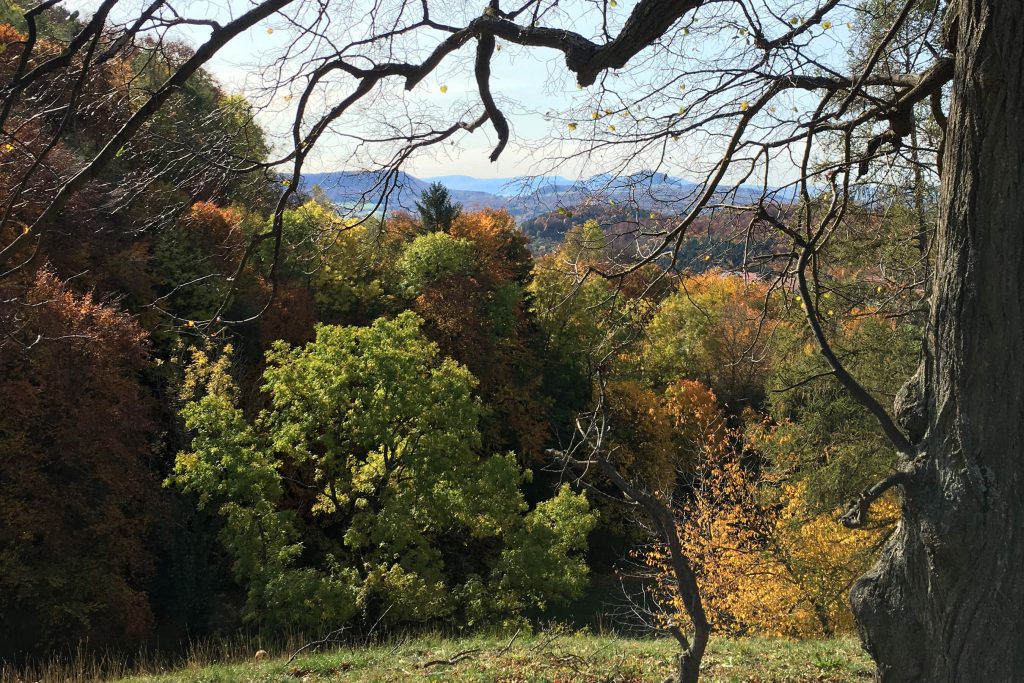 Veranstaltung MSSGV Wanderung Herbst