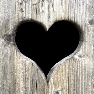 Veranstaltung MSSGV Herz