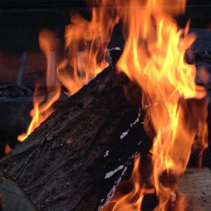 Veranstaltung MSSGV Grillen