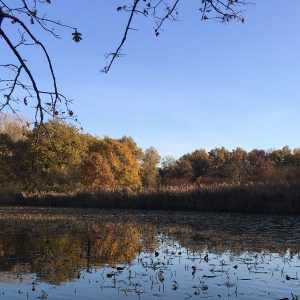 Veranstaltung MSSGV Wanderung See