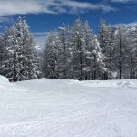 Veranstaltung MSSGV Skifahren