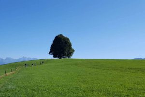 Veranstaltung MSSGV Wanderung Allgäu