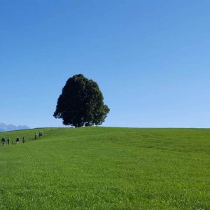 Veranstaltung MSSGV Wanderung Allgäu