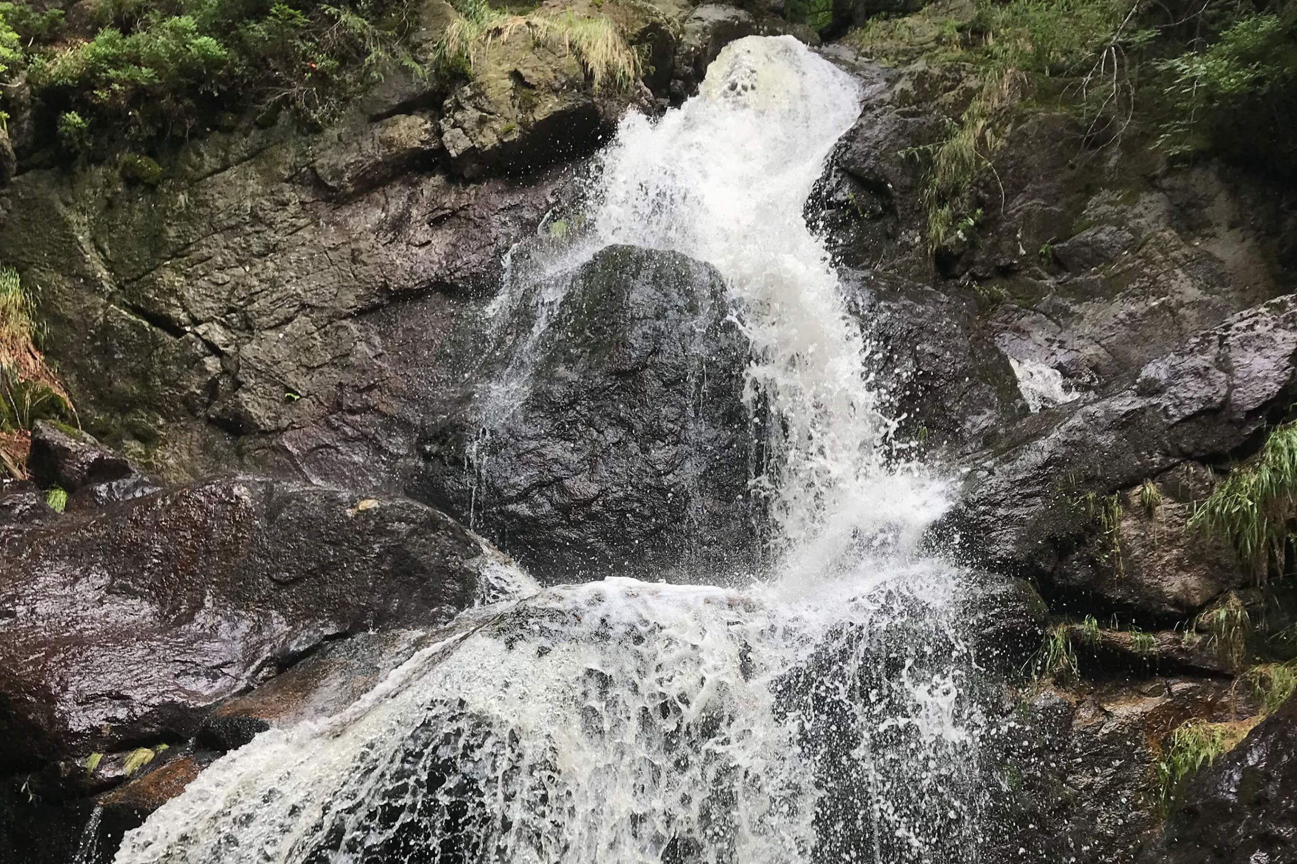 Veranstaltung MSSGV Wasserfall