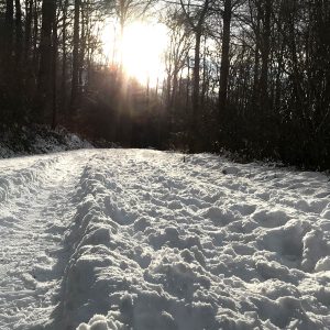 Veranstaltung MSSGV Wanderung Winter