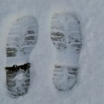 Veranstaltung MSSGV Winterwanderung