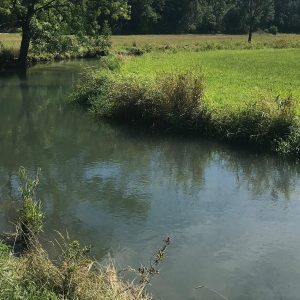 Veranstaltung MSSGV Wanderung Fluss