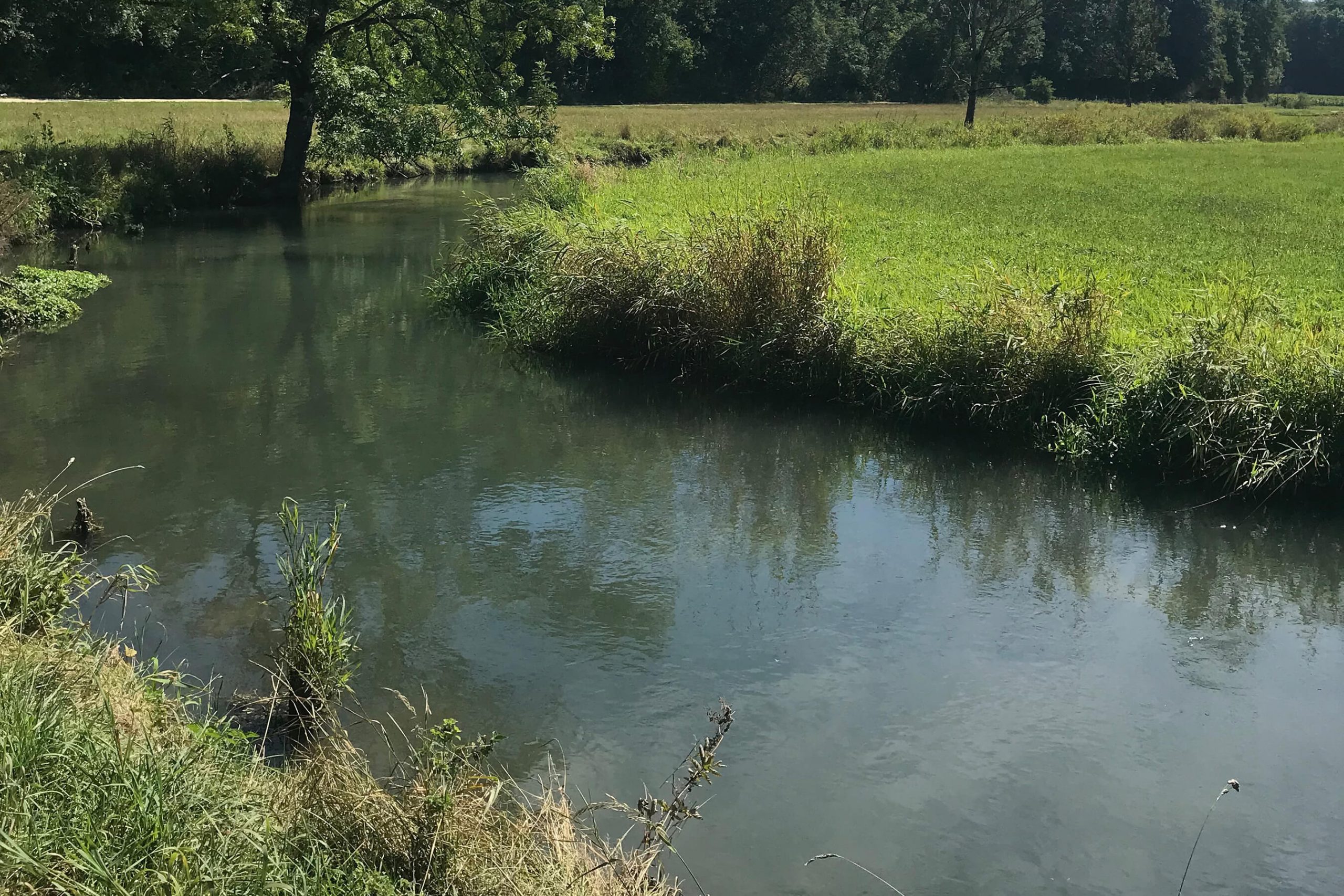 Veranstaltung MSSGV Wanderung Fluss