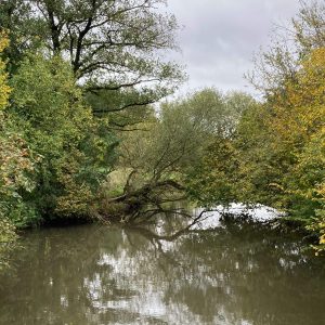 Veranstaltung MSSGV Wanderung Fluss