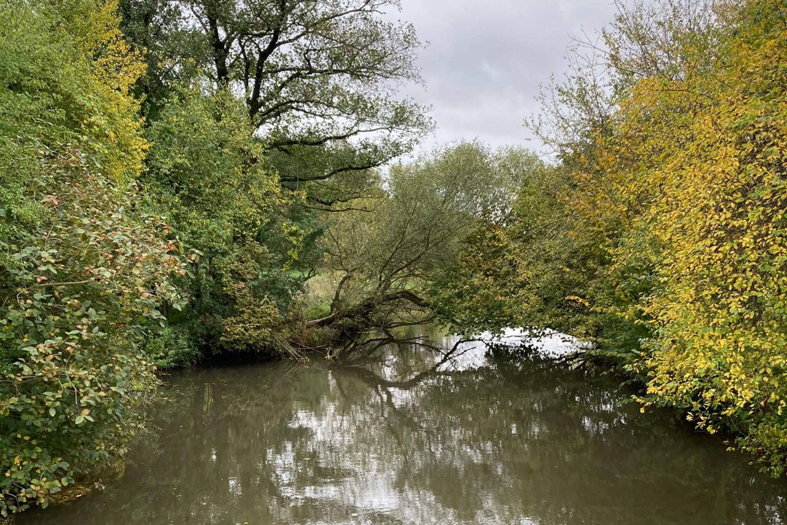 Veranstaltung MSSGV Wanderung Fluss