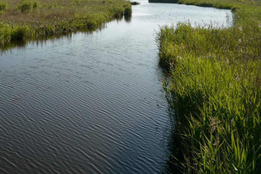 Veranstaltung MSSGV Wanderung Fluss