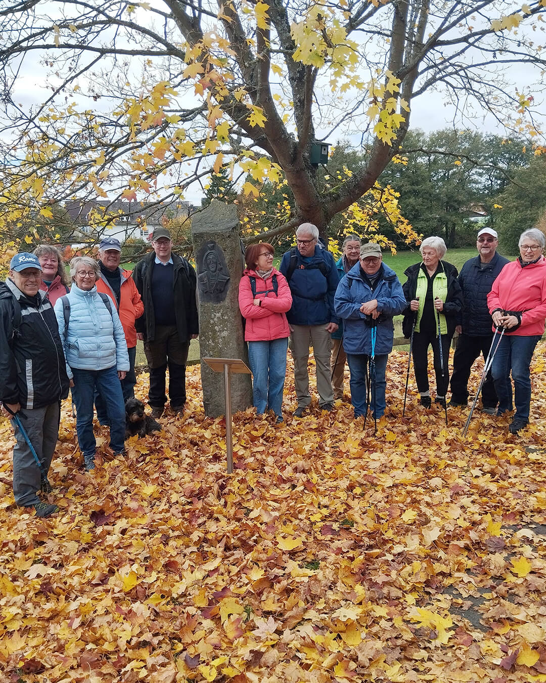 news_251019_Goldborn 1