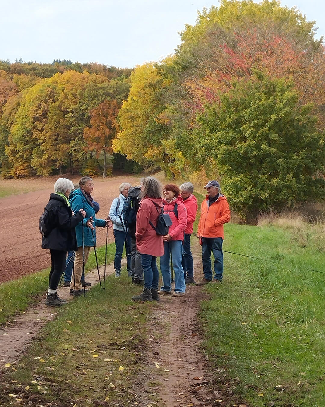 news_251019_Goldborn 2