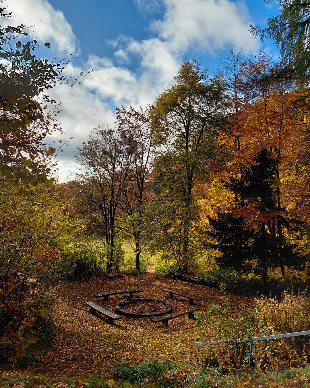 news_251025_Arbeitseinsatz-Baude_02