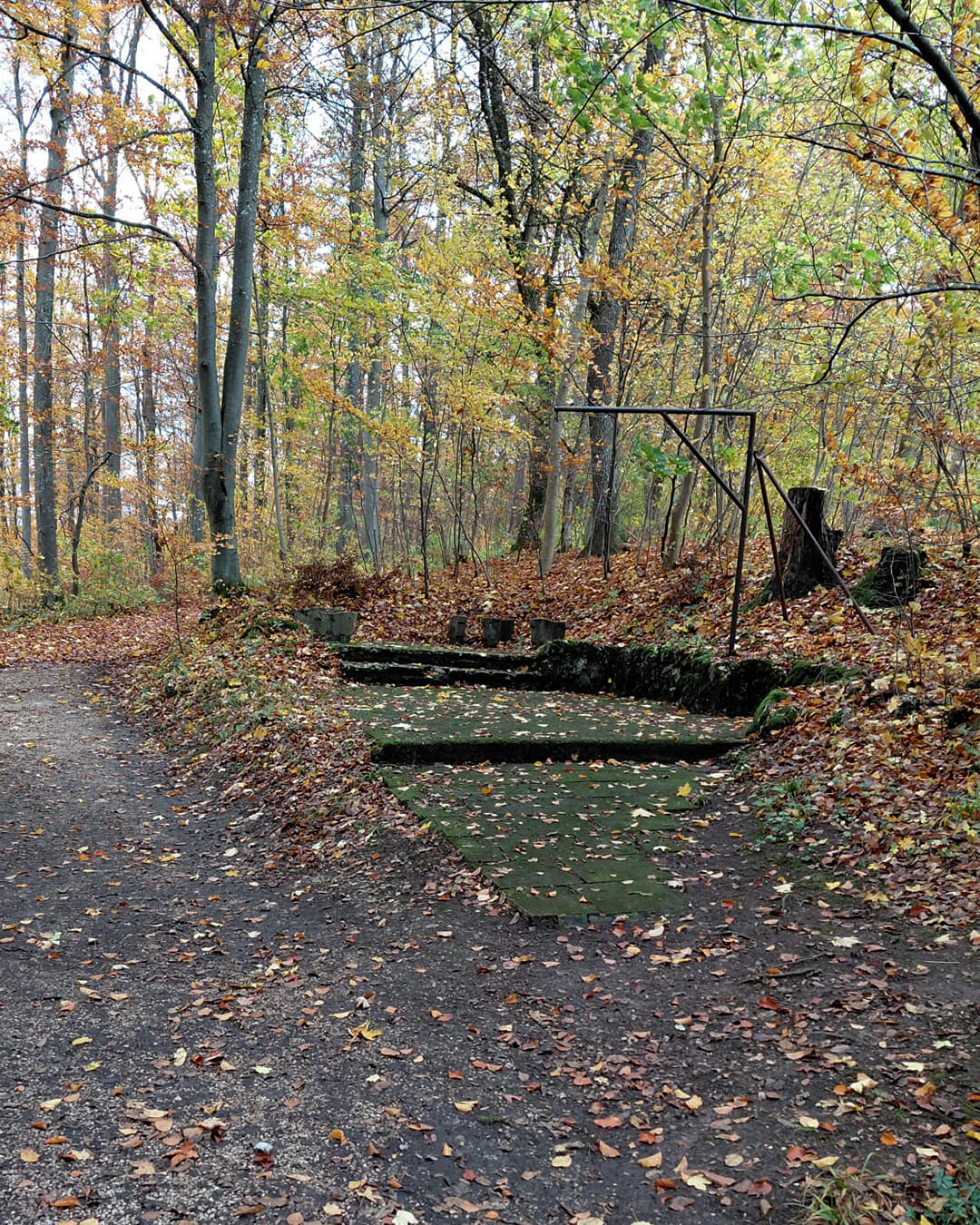 news_251025_Arbeitseinsatz-Baude_03