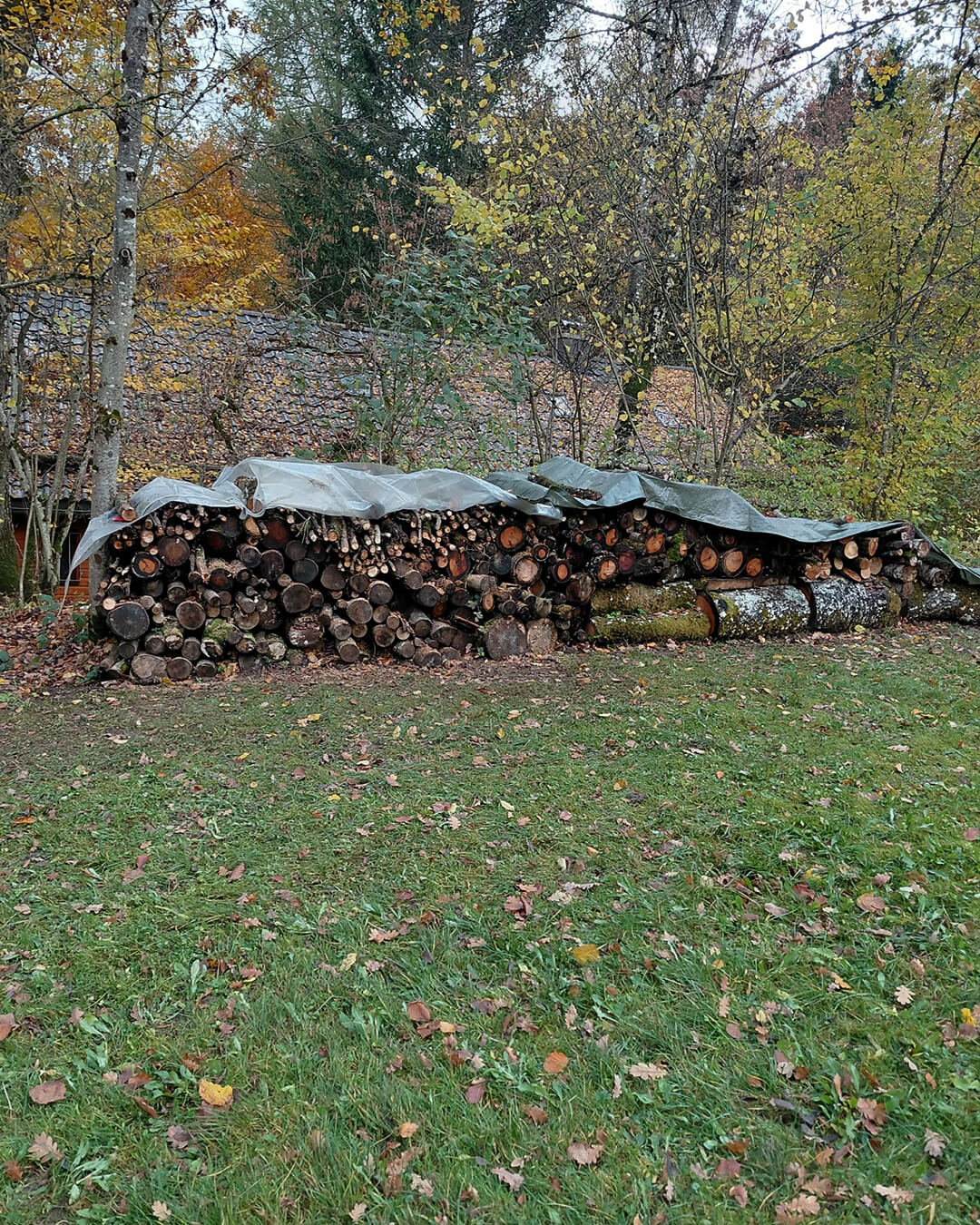 news_251025_Arbeitseinsatz-Baude_04