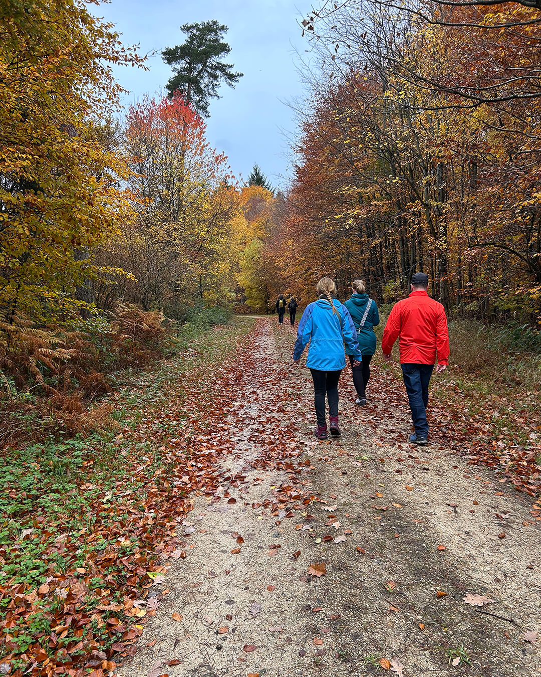 news_251102_Mostbesen_1332