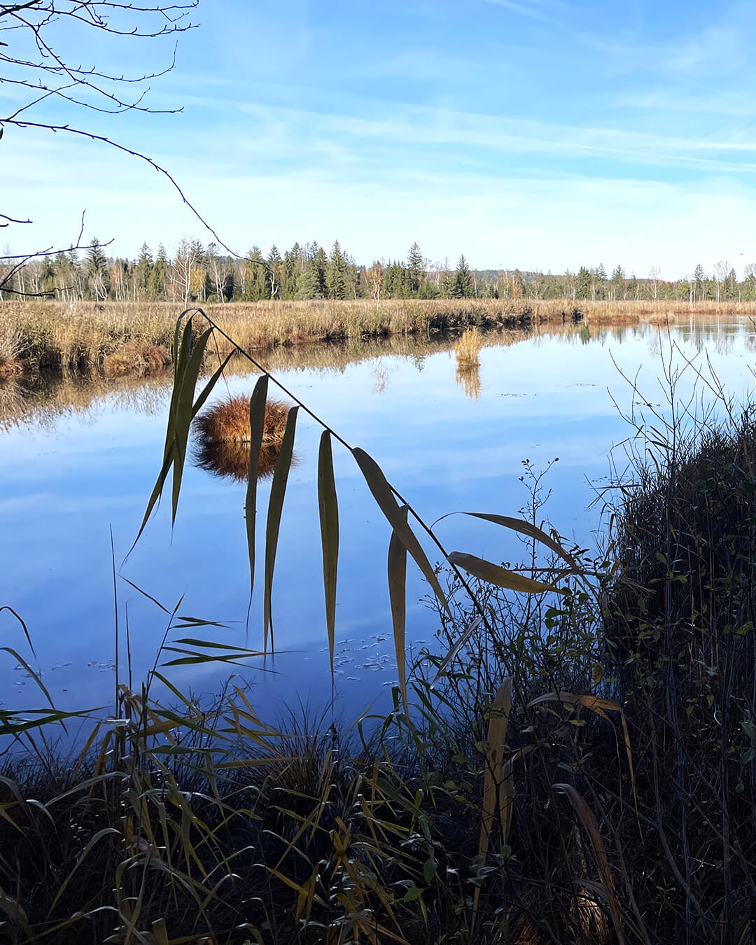 news_251105_Bad Wurzach_0891