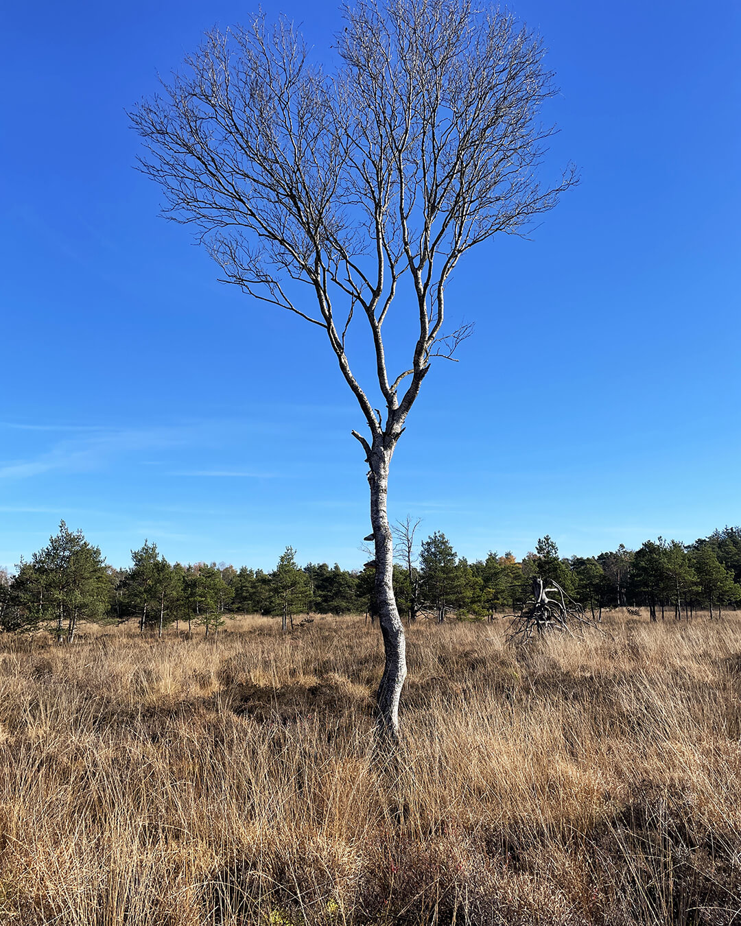 news_251105_Bad Wurzach_0913