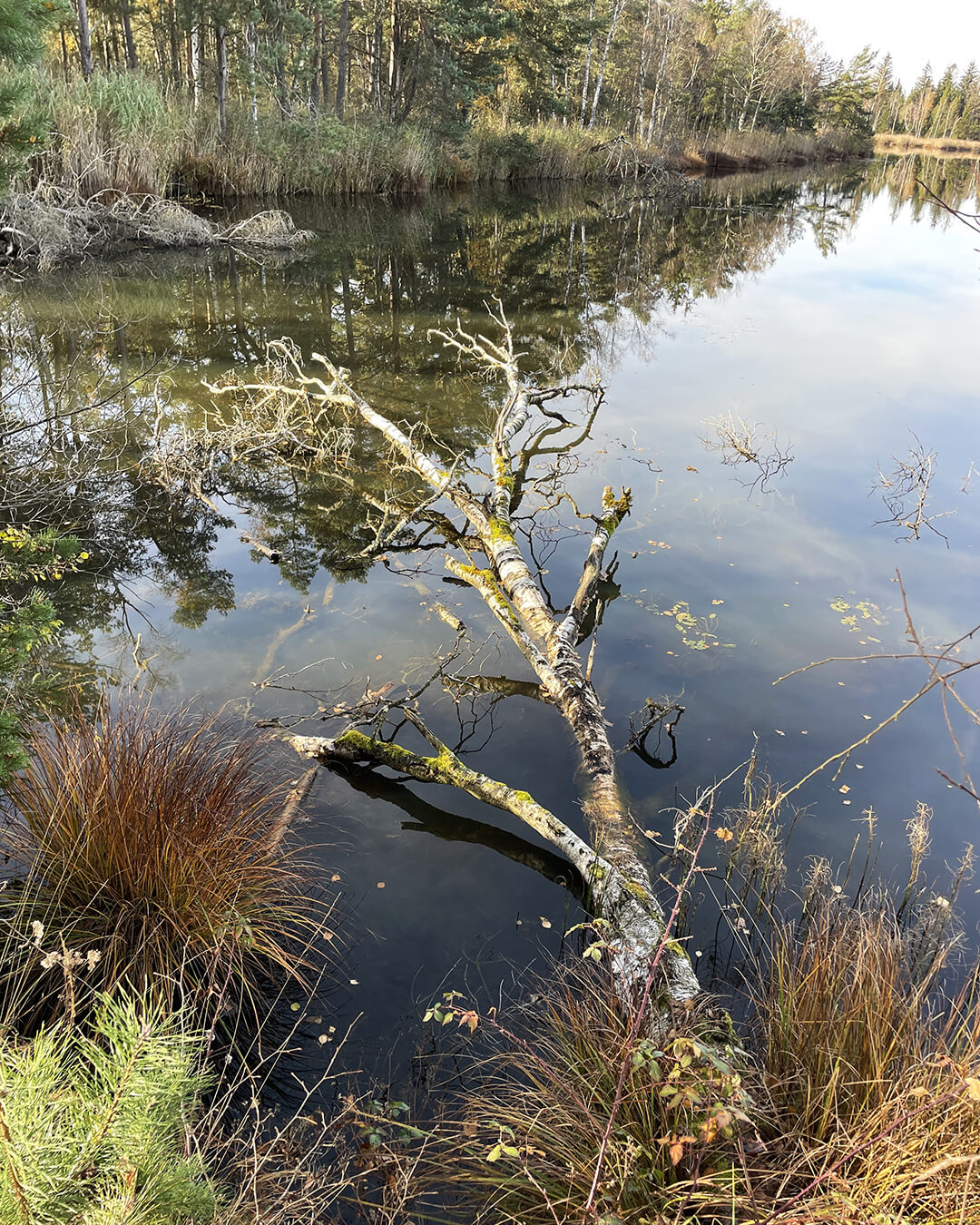 news_251105_Bad Wurzach_0946