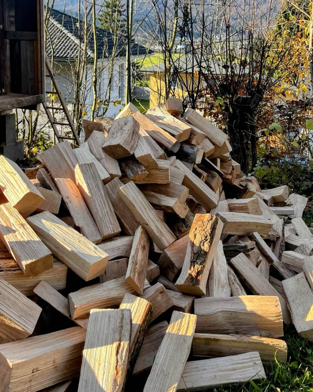 news_251110_Arbeitseinsatz-Kichbichl_02