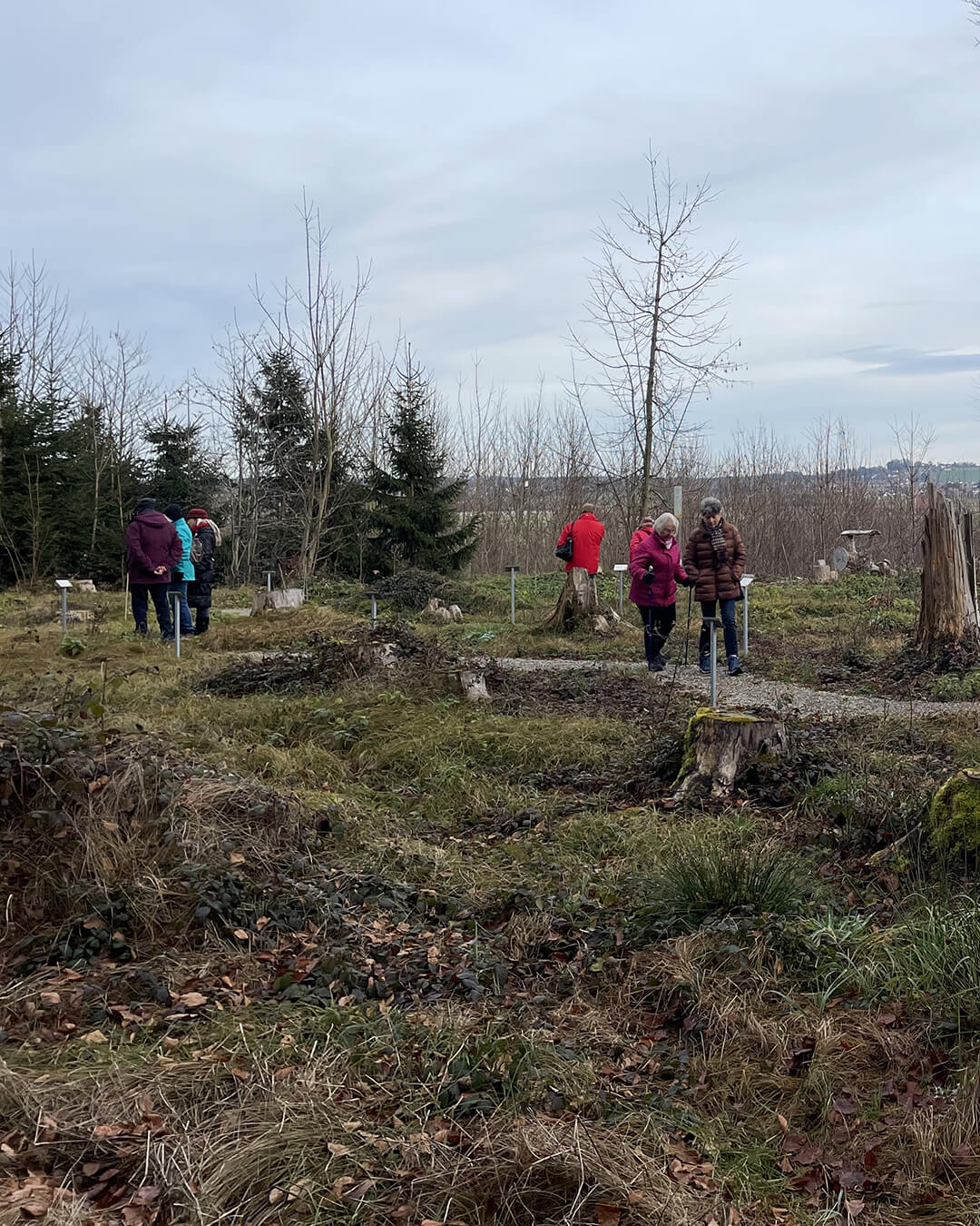 news_251119_Herbstwald_1_992