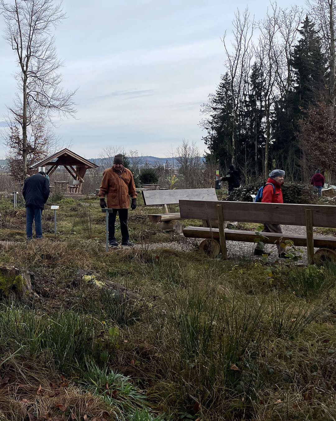 news_251119_Herbstwald_2_992