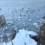 veranstaltung_wintersee