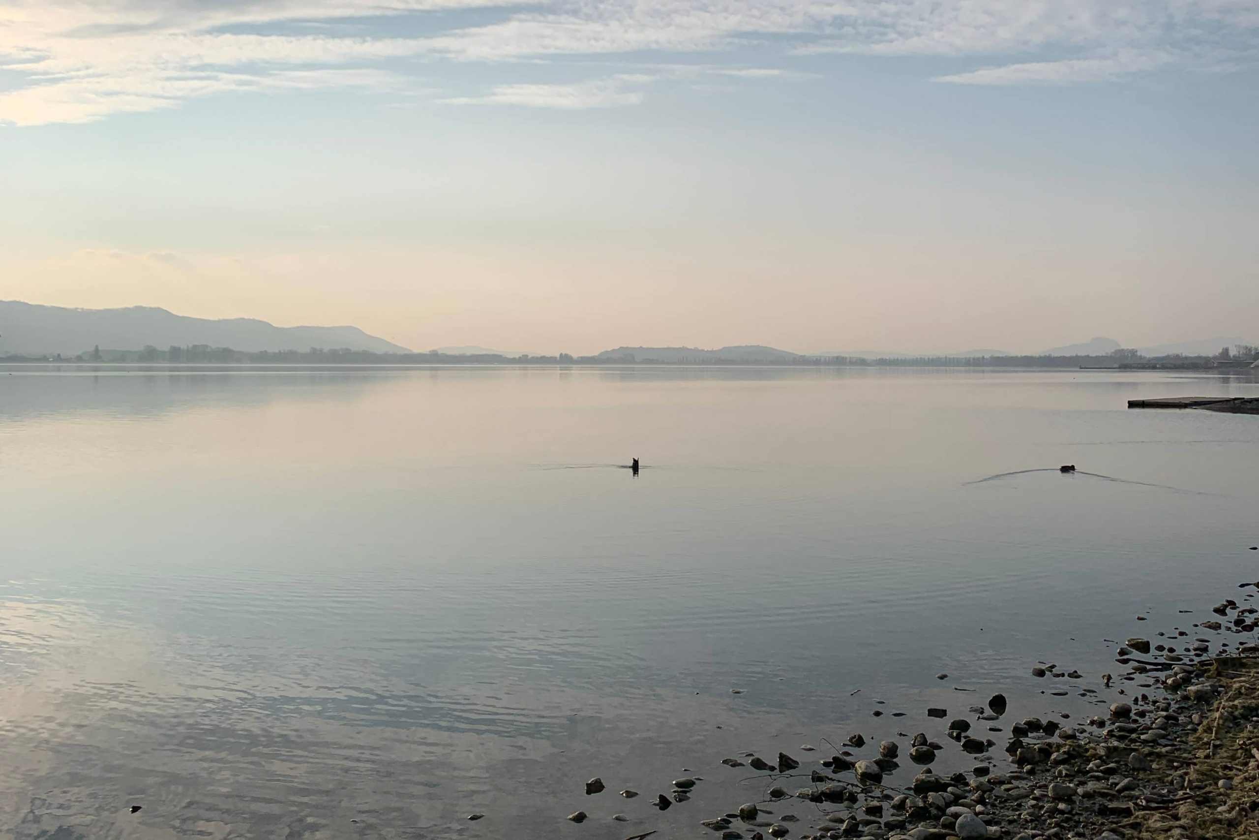 veranstaltung_bodensee