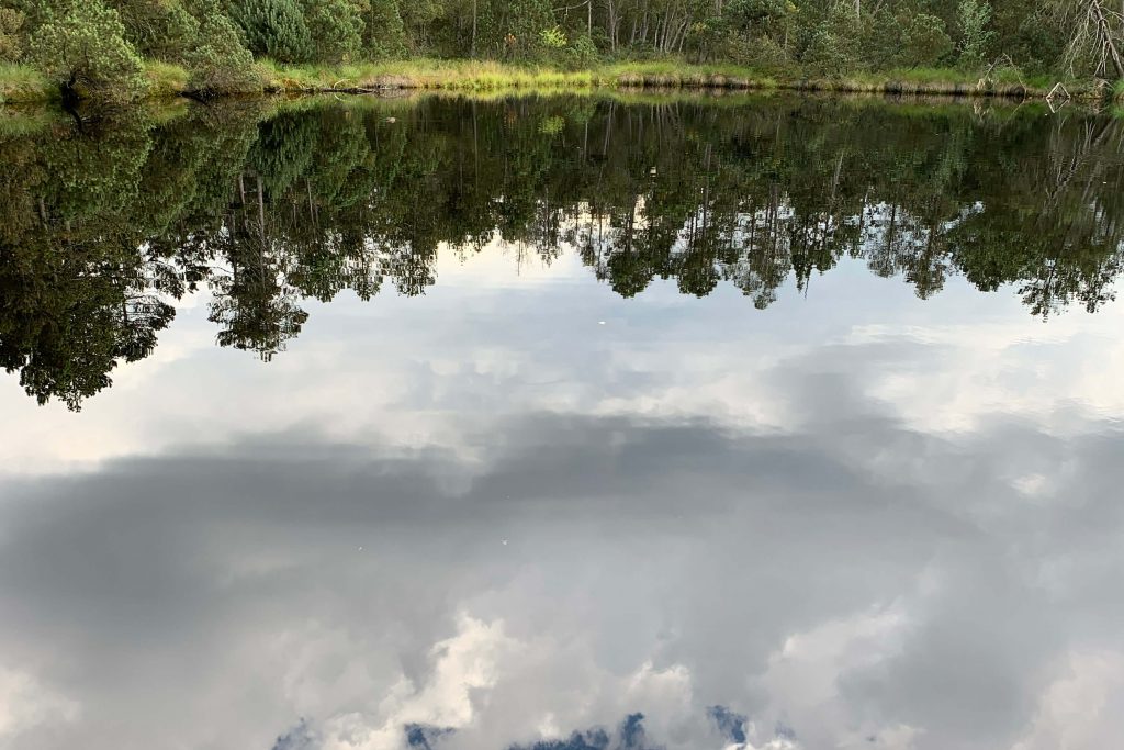 veranstaltung_see-reihwiesen