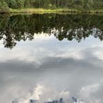 veranstaltung_see-reihwiesen