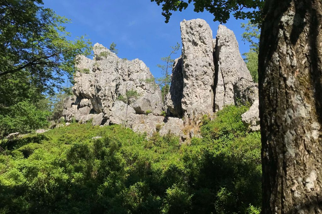 veranstaltung_viechtach