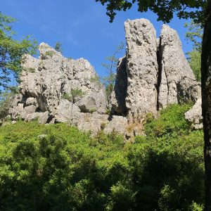 veranstaltung_viechtach